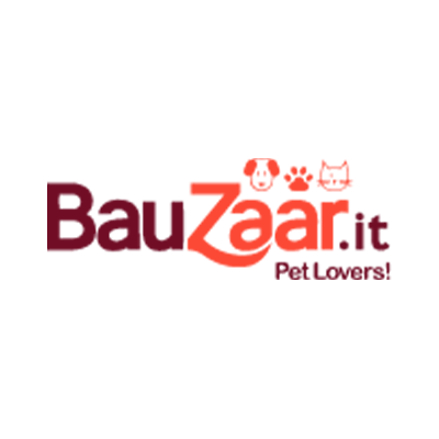 Logo Bauzaar